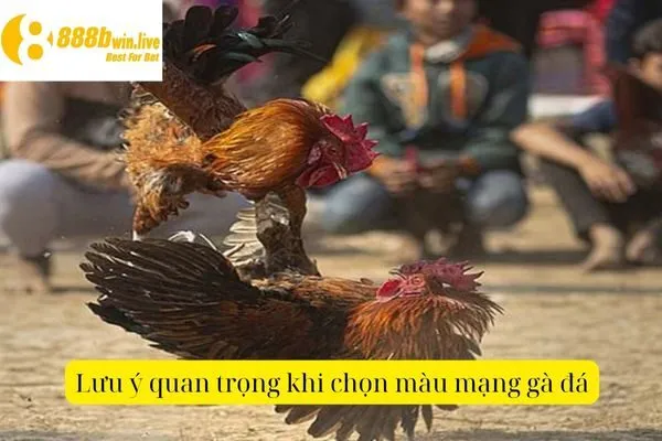 Màu Mạng Gà Đá – Bí Quyết Chọn Màu Phù Hợp Cho Gà Đá